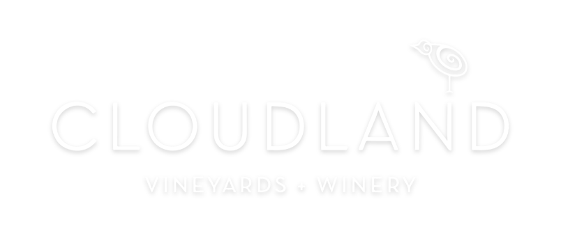cloudland-overlay-text